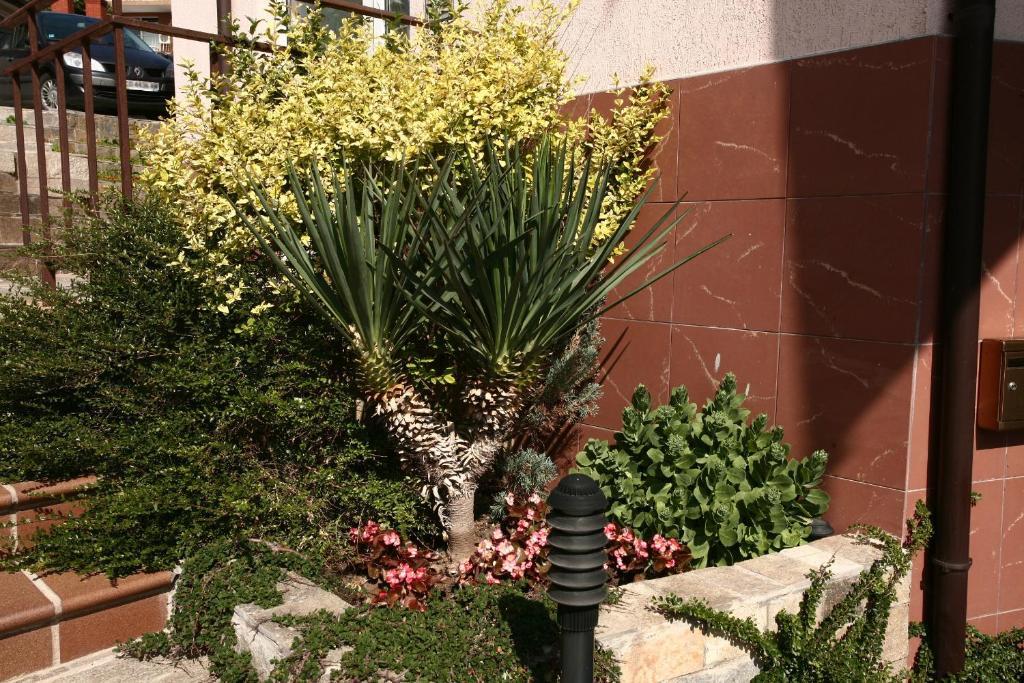 Fjord B&B Sozopol Exteriör bild